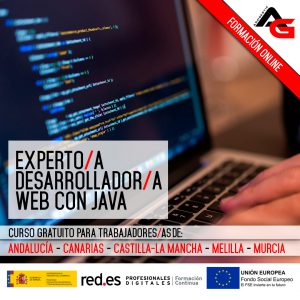 DESARROLLADOR WEB CON JAVA